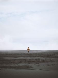 Preview wallpaper desert, sand, loneliness, horizon