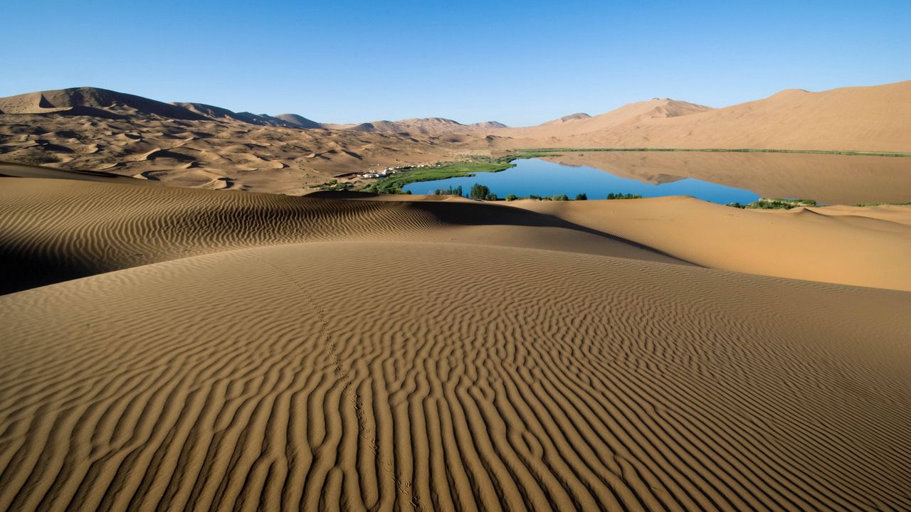 Wallpaper desert, sand, patterns, lines, oasis, lake, coast, vegetation