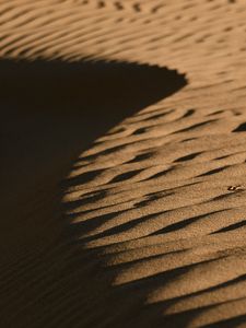 Preview wallpaper desert, sand, relief, brown