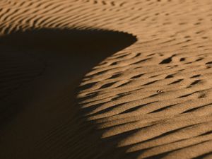 Preview wallpaper desert, sand, relief, brown