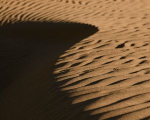 Preview wallpaper desert, sand, relief, brown