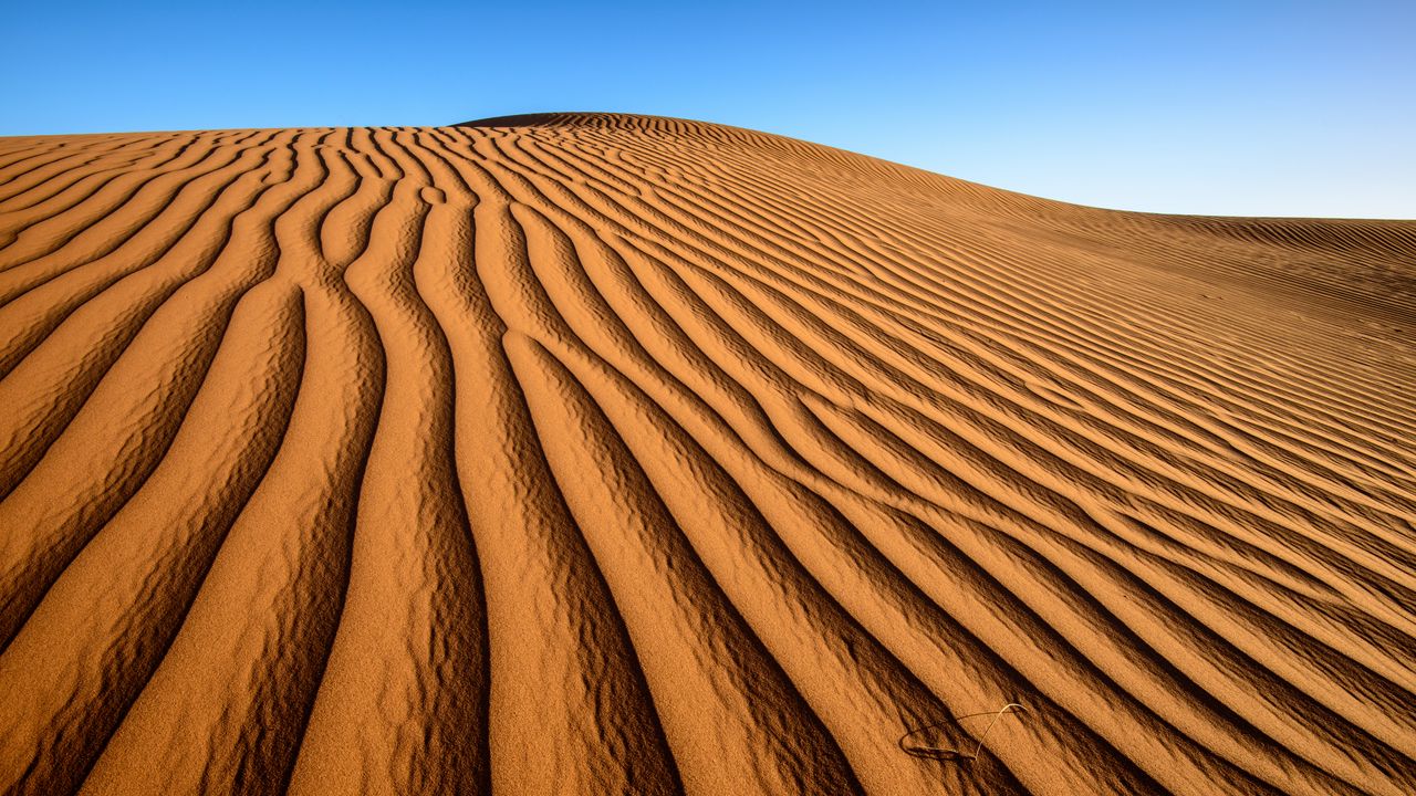 Wallpaper desert, sand, relief, shadows