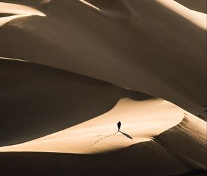 Preview wallpaper desert, sand, silhouette, dunes, lonely, wanderer