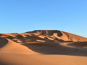 Preview wallpaper desert, sand, traces, dunes, sky