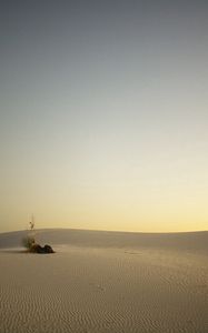 Preview wallpaper desert, sand, traveler, evening, decline