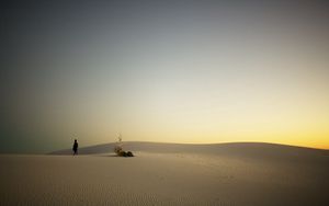 Preview wallpaper desert, sand, traveler, evening, decline