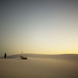 Preview wallpaper desert, sand, traveler, evening, decline