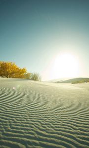 Preview wallpaper desert, sand, tree, evening, decline