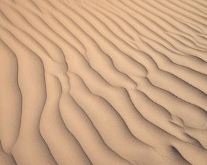 Preview wallpaper desert, sand, waves, relief, texture