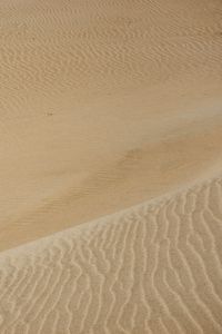 Preview wallpaper desert, sand, waves, wavy, texture