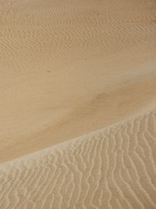 Preview wallpaper desert, sand, waves, wavy, texture