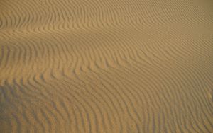 Preview wallpaper desert, sand, waves, surface