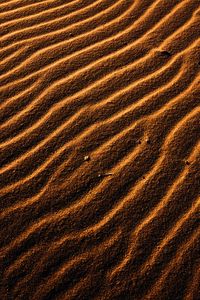 Preview wallpaper desert, sand, waves, relief, texture, brown