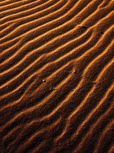 Preview wallpaper desert, sand, waves, relief, texture, brown