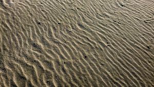 Preview wallpaper desert, sand, waves, texture, relief