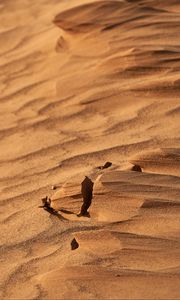 Preview wallpaper desert, sand, wavy, dry