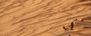 Preview wallpaper desert, sand, wavy, dry