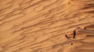Preview wallpaper desert, sand, wavy, dry
