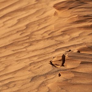 Preview wallpaper desert, sand, wavy, dry