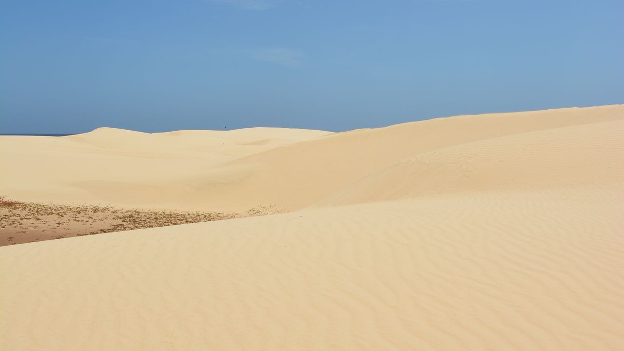 Wallpaper desert, sands, dunes, nature