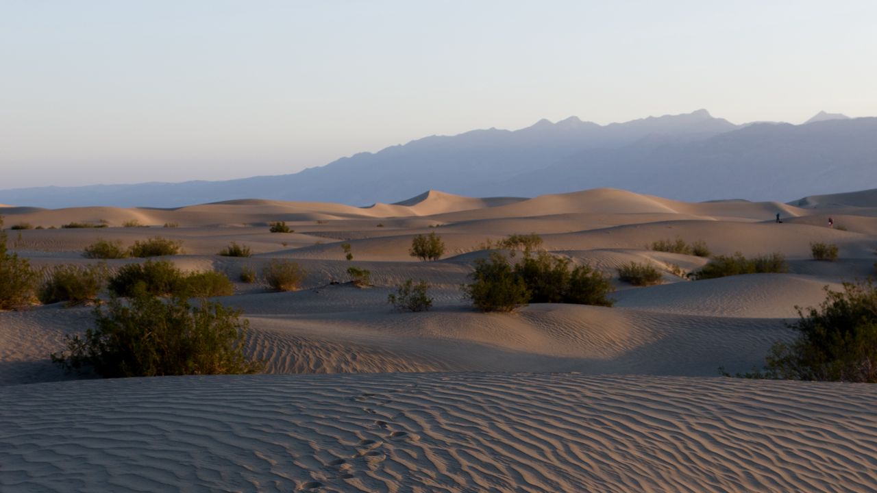 Wallpaper desert, sands, traces, relief, valley