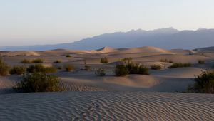 Preview wallpaper desert, sands, traces, relief, valley