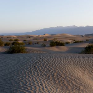Preview wallpaper desert, sands, traces, relief, valley