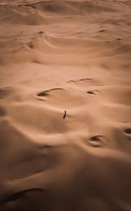Preview wallpaper desert, silhouette, alone, aerial view, sand