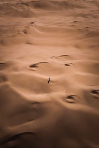 Preview wallpaper desert, silhouette, alone, aerial view, sand