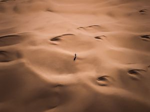 Preview wallpaper desert, silhouette, alone, aerial view, sand