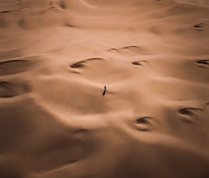 Preview wallpaper desert, silhouette, alone, aerial view, sand