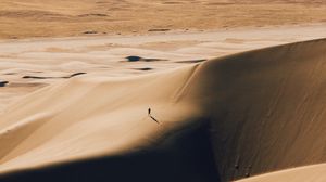 Preview wallpaper desert, silhouette, dunes, relief
