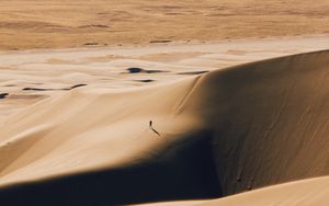 Preview wallpaper desert, silhouette, dunes, relief