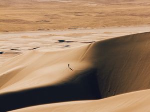 Preview wallpaper desert, silhouette, dunes, relief