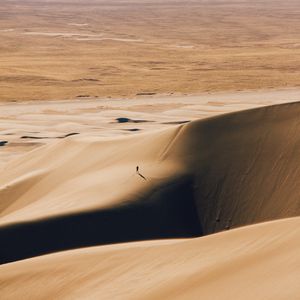 Preview wallpaper desert, silhouette, dunes, relief