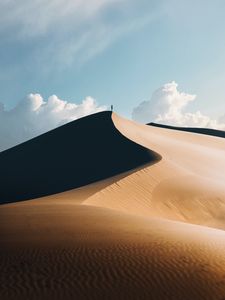 Preview wallpaper desert, silhouette, lonely, sand