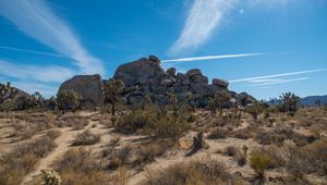 Preview wallpaper desert, stones, grass
