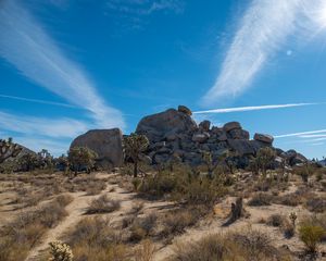Preview wallpaper desert, stones, grass