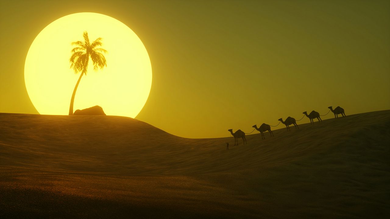 Wallpaper desert, sun, palm tree, hill, art