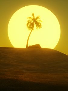 Preview wallpaper desert, sun, palm tree, hill, art