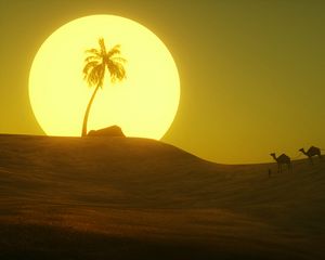 Preview wallpaper desert, sun, palm tree, hill, art