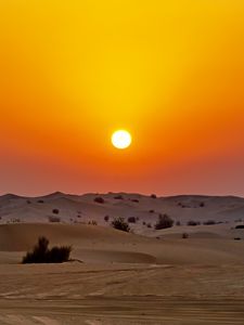 Preview wallpaper desert, sunset, dunes, sand