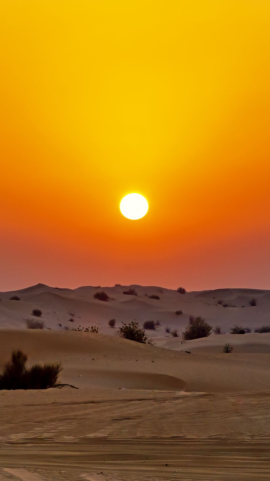 Desert sunset nature sand wallpaper  3840x2160  607687  WallpaperUP