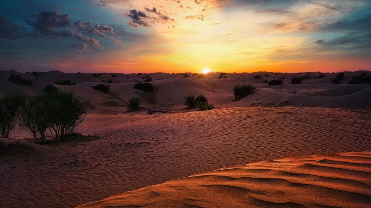 Wallpaper desert, sunset, sand, hills, bushes