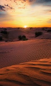 Preview wallpaper desert, sunset, sand, hills, bushes
