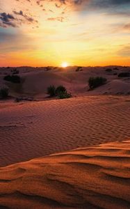 Preview wallpaper desert, sunset, sand, hills, bushes