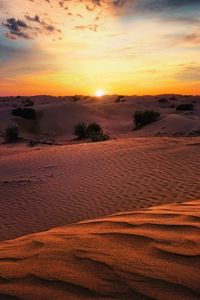 Preview wallpaper desert, sunset, sand, hills, bushes