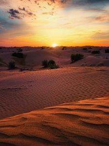 Preview wallpaper desert, sunset, sand, hills, bushes