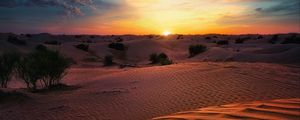 Preview wallpaper desert, sunset, sand, hills, bushes