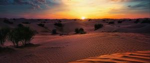 Preview wallpaper desert, sunset, sand, hills, bushes